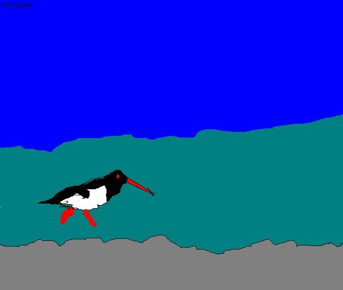 ostrygojad