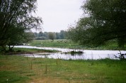 Więcej Więcej