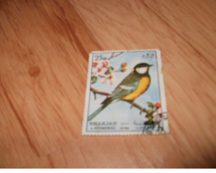 Sikorka bogatka:) znaczek