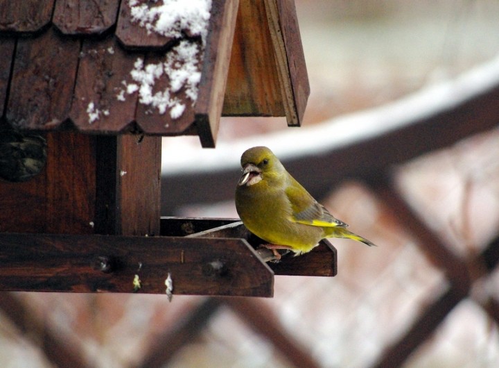 Zaraz... Kto tam stoi?