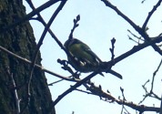 Więcej