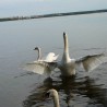 jezioro ...