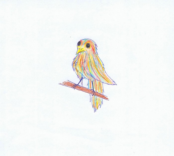 Ptak z mojego snu ;3