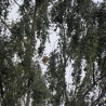 Zagadka