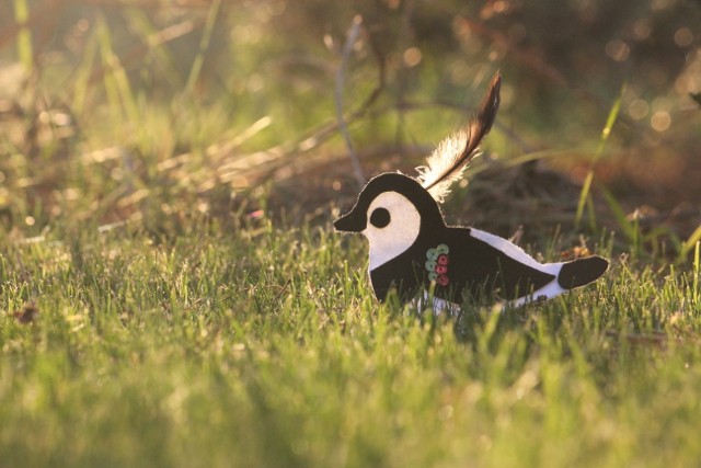 Filcowa czajka na łące :)