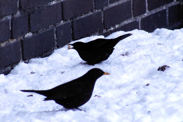 Popatrz sobie, co mam ...