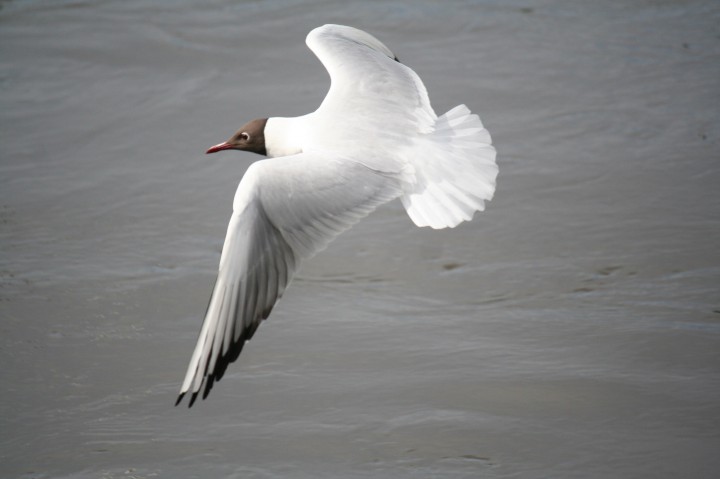 Gdzie by tu wylądować???