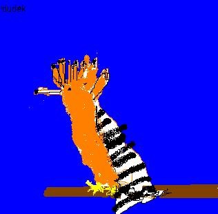 dudek - mój pierwszy ...