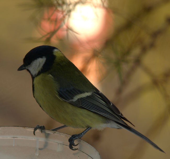 Tak jakoś wyszło...