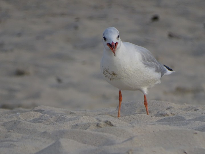 Zaległe zdjęcie - wakacje ...
