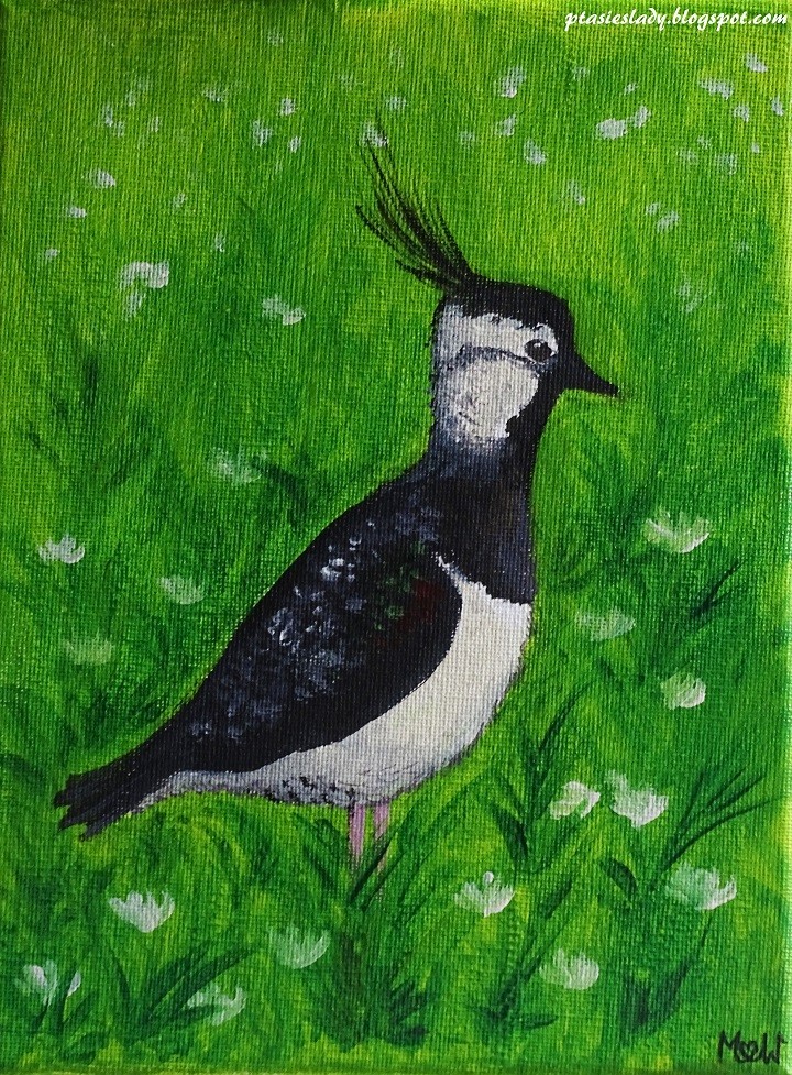 Czajka na pierwszy dzień ...