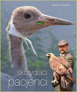 ilustracja