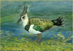 ilustracja
