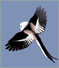 ilustracja