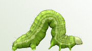 Więcej